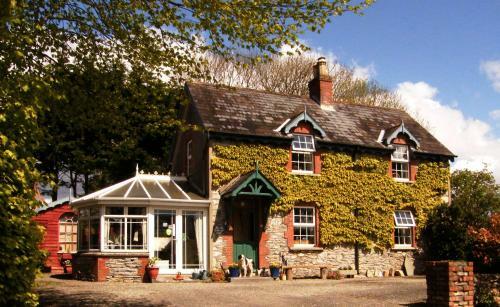 Bed & Breakfast Druid Cottage