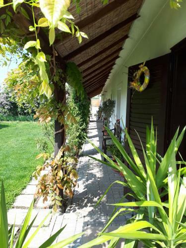 Hostal V�ndektanya Vend�gh�z