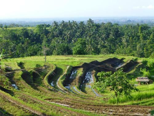 West Bali Villas-umasari Resort