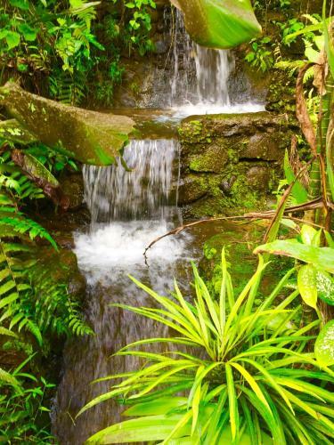 West Bali Villas-umasari Resort