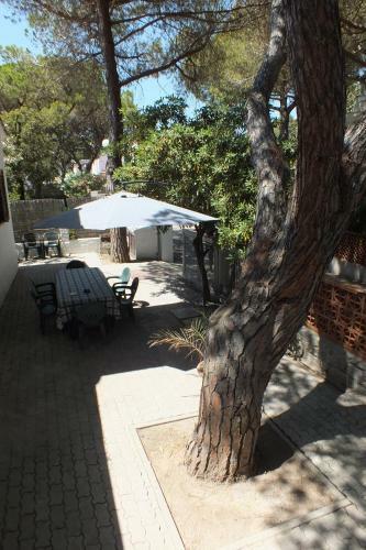 Apartamento Appartamento Montecristo 1