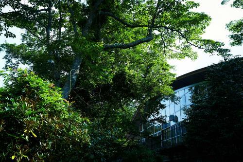 Hotel Hakone Retreat Fore