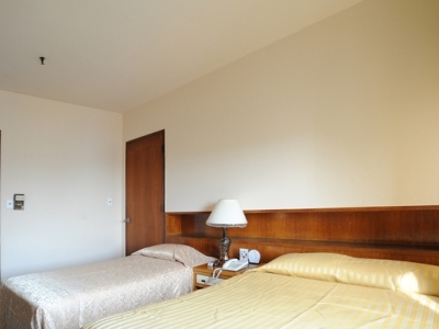 Hotel Phoenix