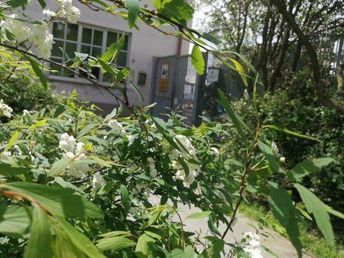 Albergue Ostello Per La Giovent� Genova