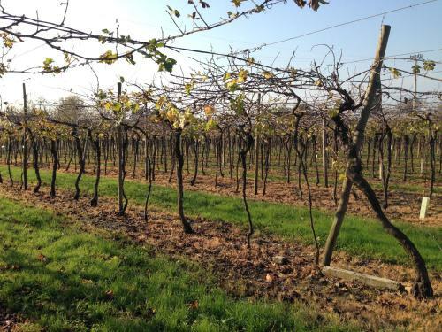 B&B La Familia