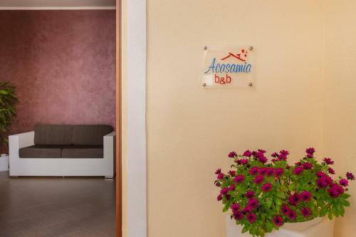 Bed&breakfast Acasamia