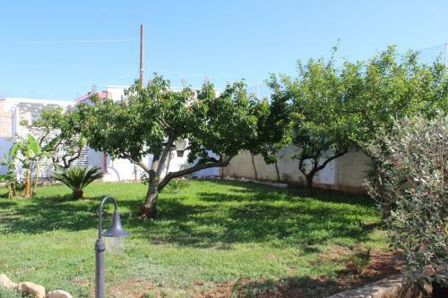 B&B L'isola Che Non C'�