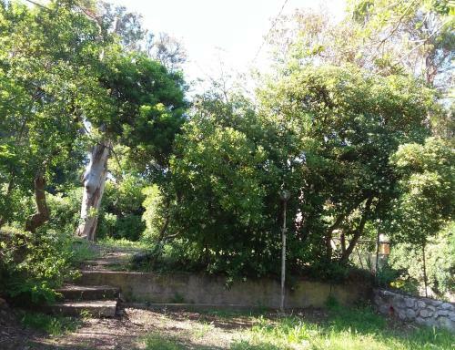 Camping Reale