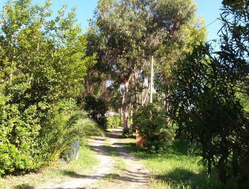 Camping Reale