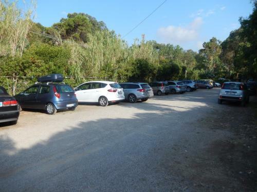 Camping Reale