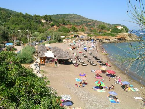 Camping Reale