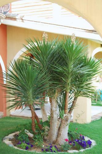 Apartamento I Lentischi