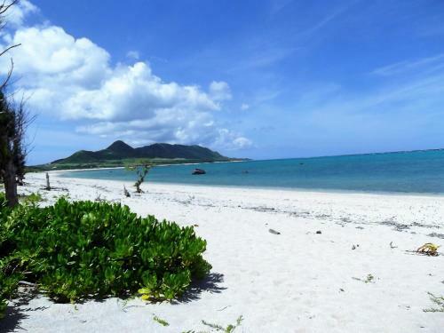 Island Holiday Yoisama