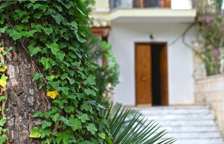 B&B Viale Dei Pini