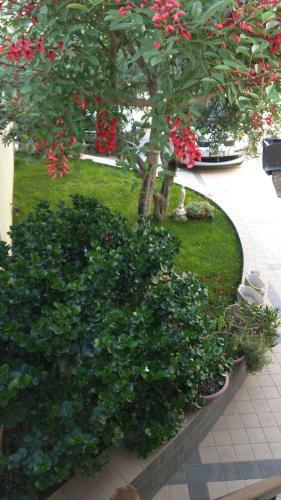 Bed & Breakfast La Firenze Del Sud