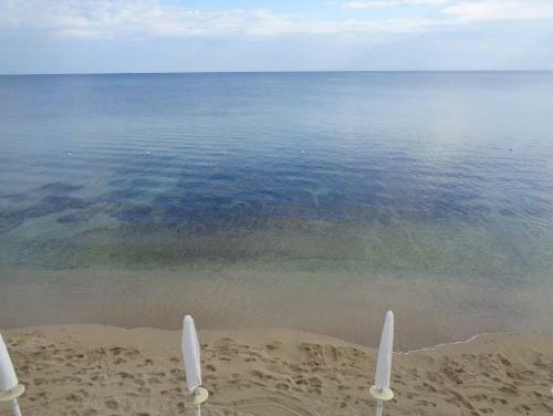 Bed & Breakfast All'ombra Del Palmeto