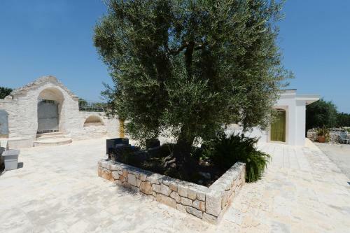 Agroturismo Agriturismo L'aire Alberobello