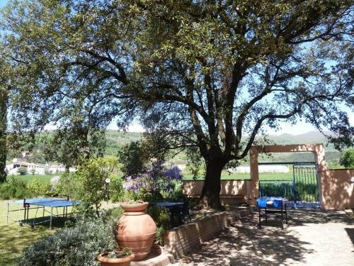 Agroturismo Al Vecchio Leccio