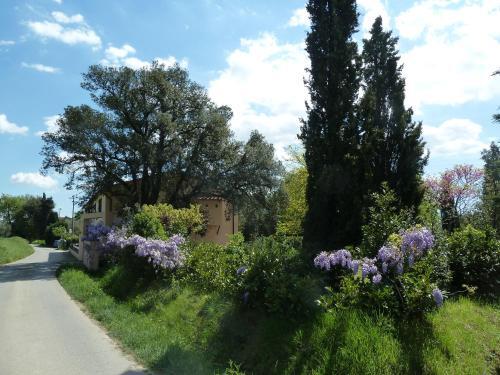 Agroturismo Al Vecchio Leccio