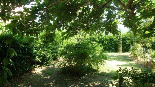 Agroturismo Al Vecchio Leccio