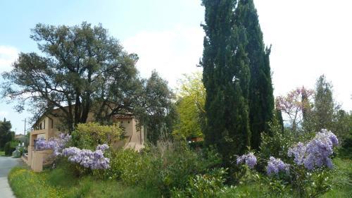 Agroturismo Al Vecchio Leccio