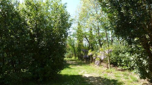 Agroturismo Al Vecchio Leccio