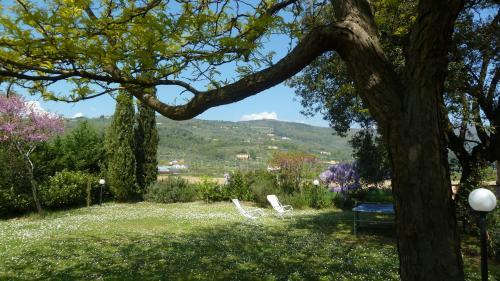 Agroturismo Al Vecchio Leccio