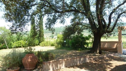 Agroturismo Al Vecchio Leccio