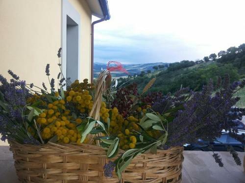 Agroturismo Agriturismo Il Moro
