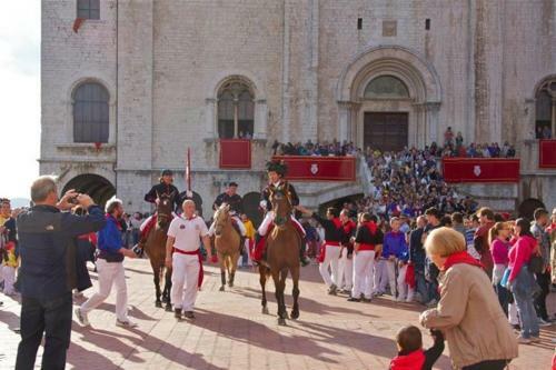 Agroturismo Agriturismo Il Moro