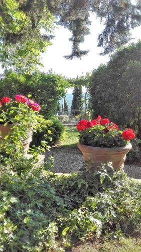 I Casaloni