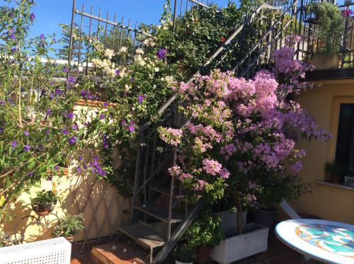Bed & Breakfast La Casa Di Dadda