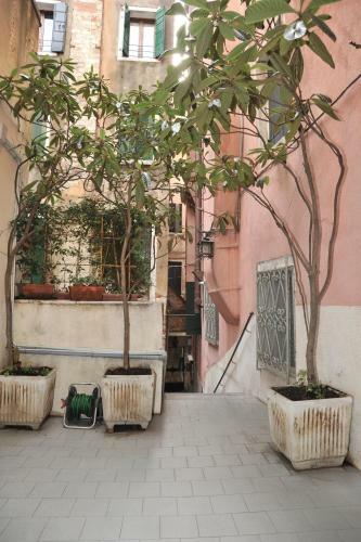 3c B&B