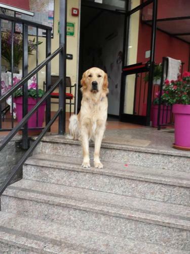 Hotel Renato