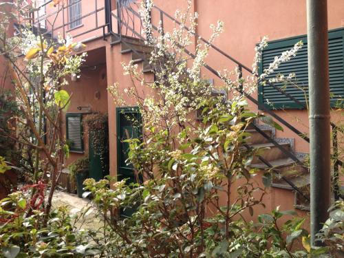B&B Fiori Di Grano