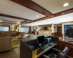 Hotel Comfort Suites North/galleria