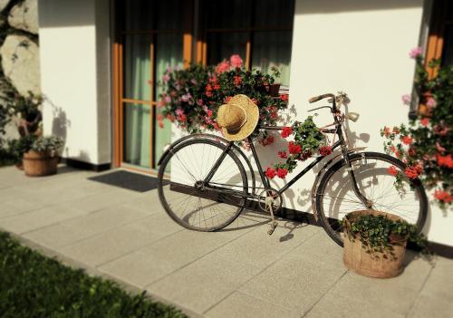 Agroturismo Residenz Erschbaum