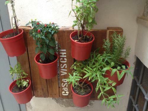 Apartamento Casa Vischi