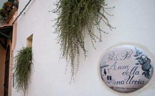 B&B A Casa Della Nonna Uccia