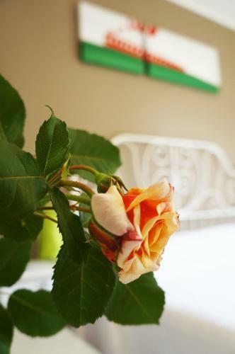 Hostal Alexander Rooms