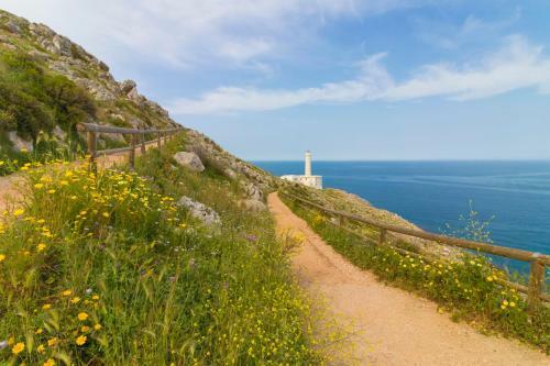 Hostal Trapetum-salento Domus