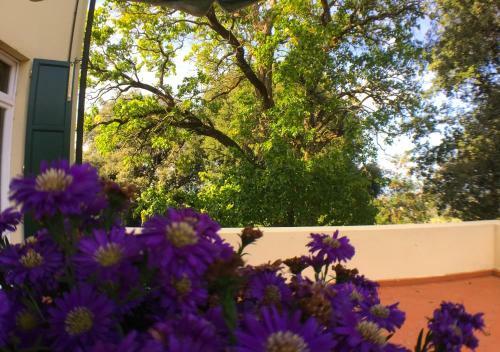 Bed & Breakfast Villa Pieve De' Pitti