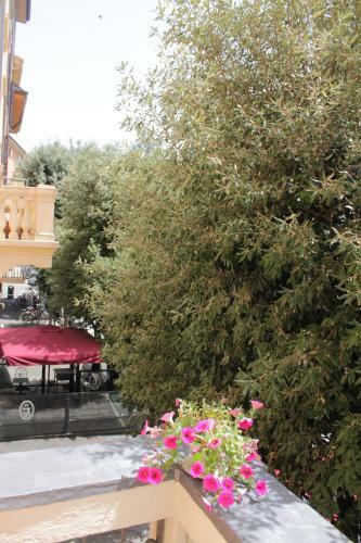Apartamento Appartamenti Nel Sole