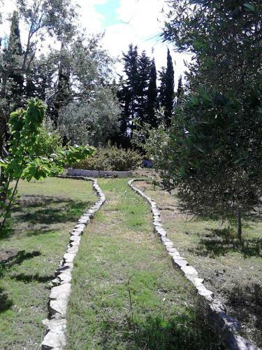 L'aranceto Di Giorgia