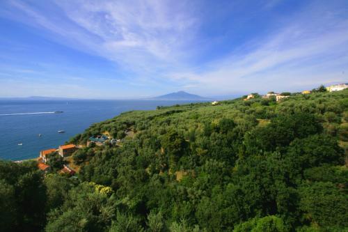 Apartamento Villa Rosmary