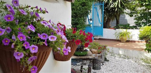 Hostal Giardino Dei Limoni Apartment