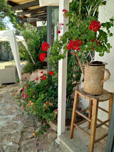 Limonaia In Salento