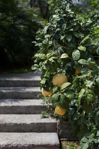 Agroturismo Dimora Bolsone