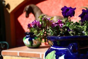 Hotel Hacienda Suites Loreto