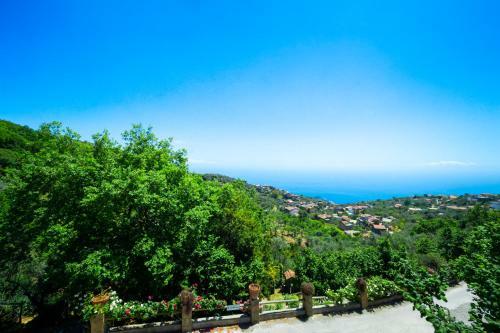 Agroturismo Agriturismo Fattoria Terranova